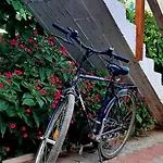 ホームステイ Superpanorama
