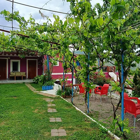 Homestay Superpanorama Kukes