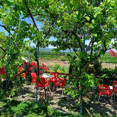 Accommodatie bij particulieren Superpanorama Kukes