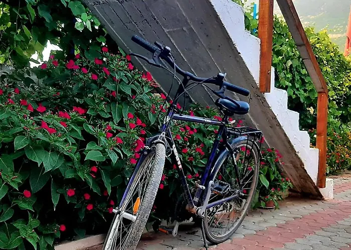 民宿 Superpanorama