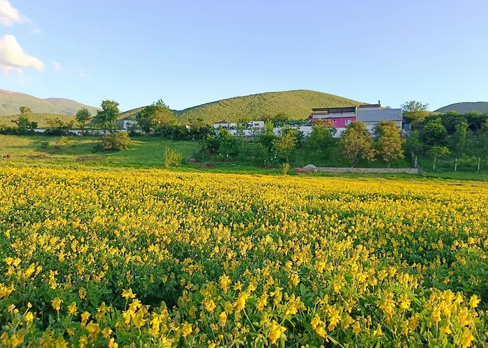 民宿 Superpanorama *